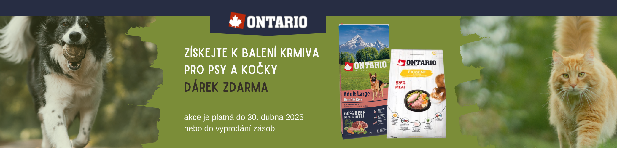 akce ontario